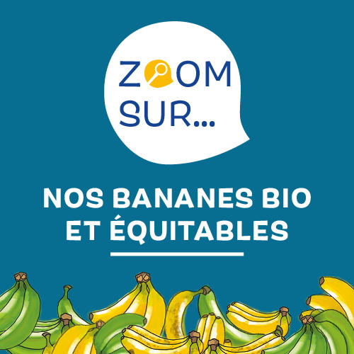 La filière "bananes" bio et équitables chez Biocoop