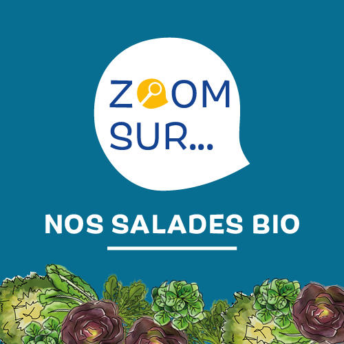 La filière "salades" chez Biocoop
